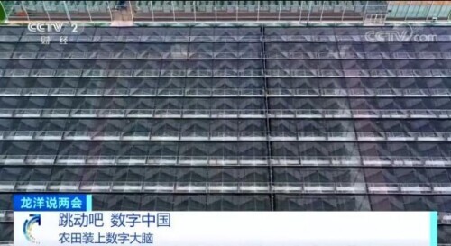 數字時代 把水稻種到“云端” 數字時代 把水稻種到“云端”